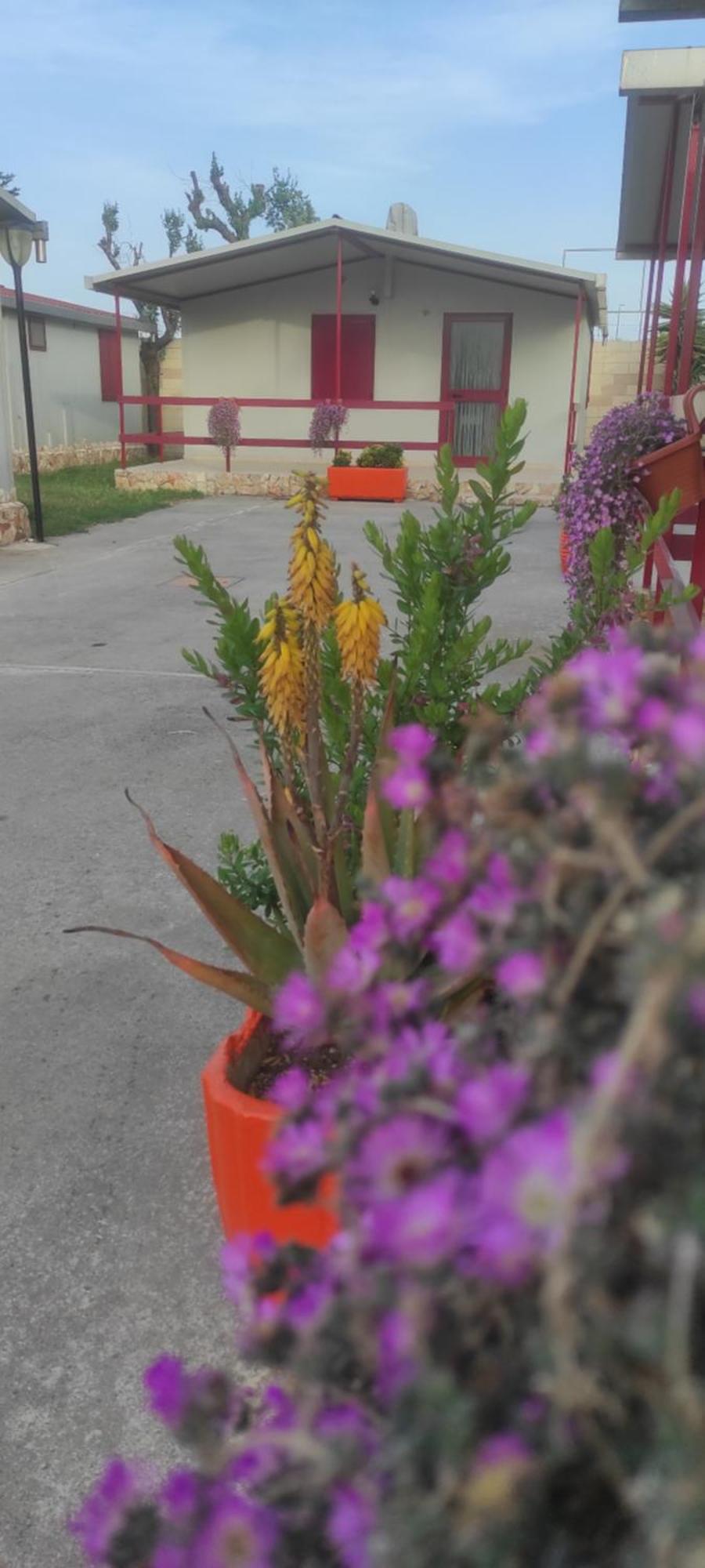 Villaggio Albergo Cervo Zapponeta Exterior foto